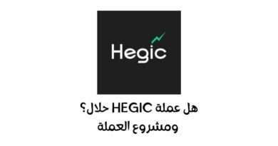 هل عملة HEGIC حلال
